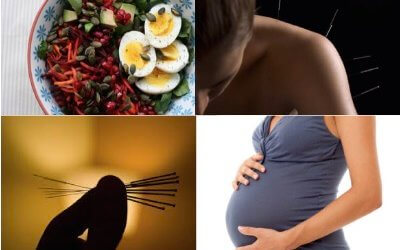 A Focus on Woman’s Health